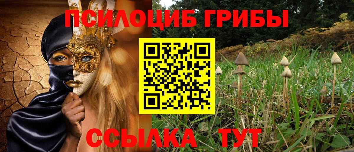 Саратов  Псилоцибиновые грибы GOLDEN TEACHER  Вход с VPN  Галлюциногенные грибы мухоморы 