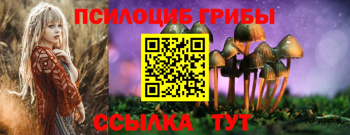 Галлюциногенные грибы MAGIC MUSHROOMS Саратов